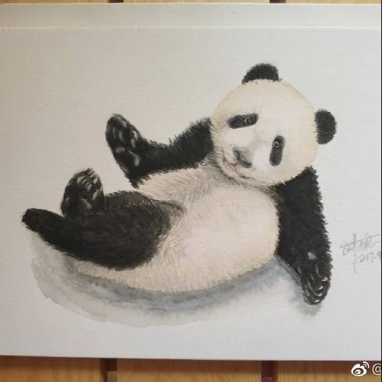 水彩大熊猫。在打滚的滚滚。