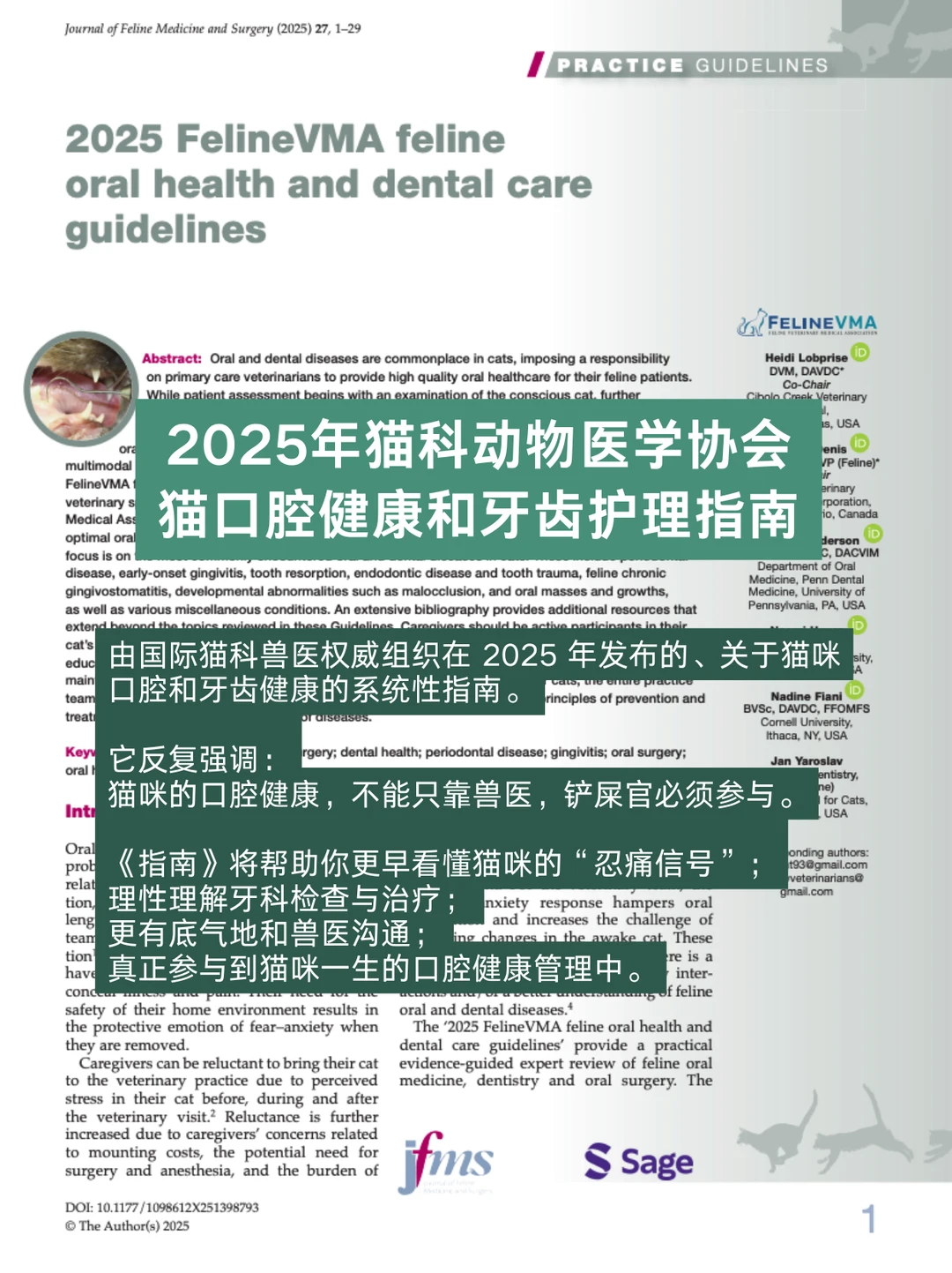 超干货！FVMA最新发布的猫口腔健康指南📖