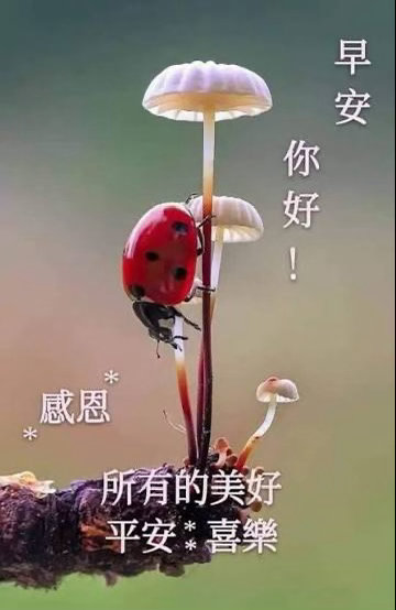#陈妍希##陈妍希[超话]# 早安🌞🌻 ​