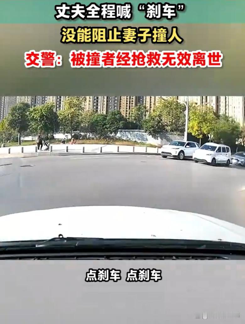 12月20日，陕西交警公布一则交通事故案例：一女子驾车时操作不当，径直...