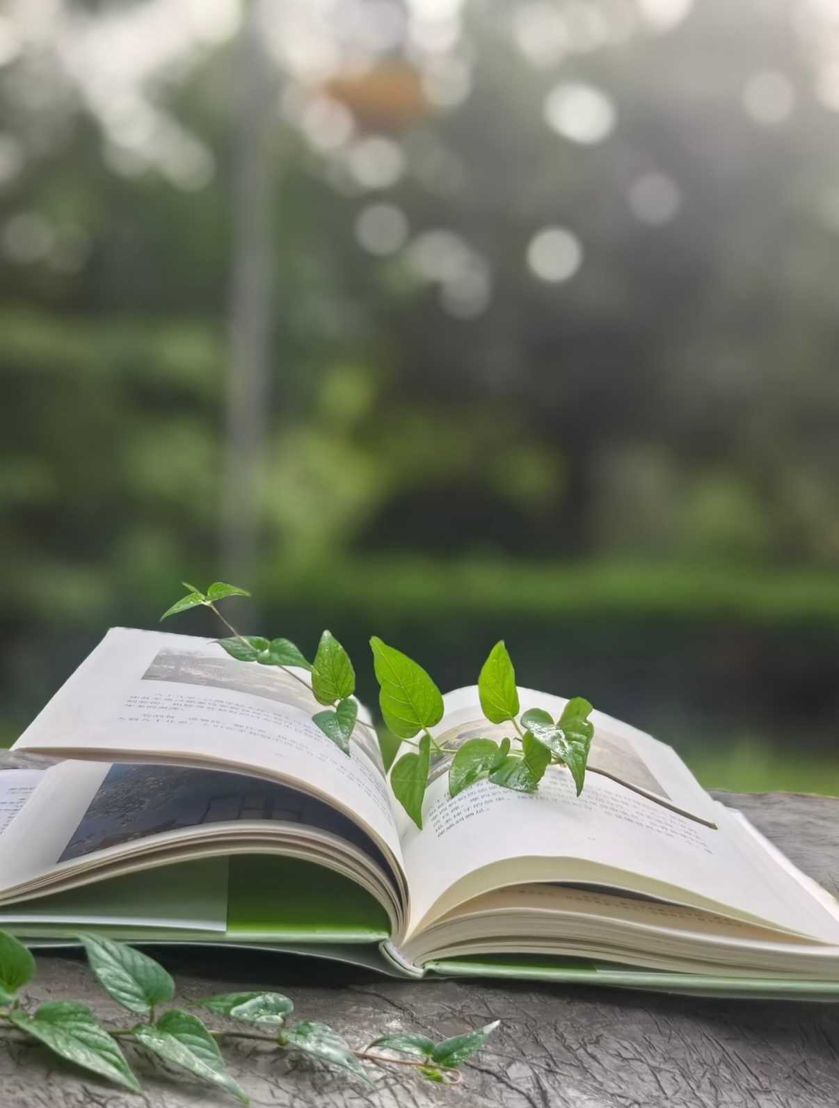 日子虽然平淡，但我们可以给它加点糖。养一盆花，读一本书，听一首好歌，都...