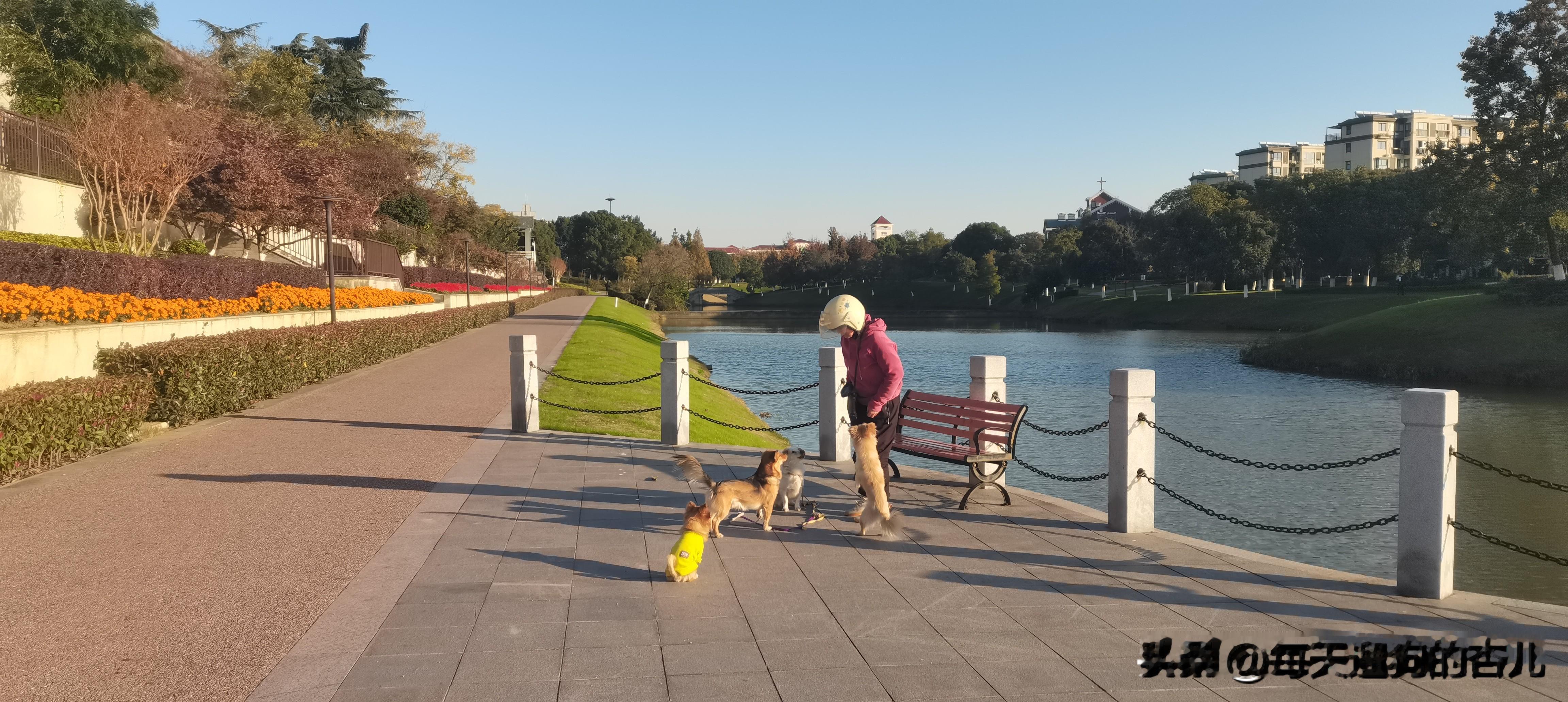 四大美女的现状  我居住的那个小镇，是江南的鱼米之乡，我们上学的时候...