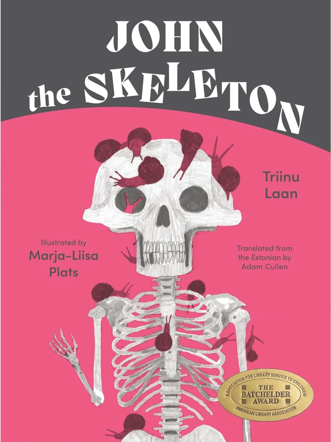 骷髅约翰的退休生活 |生命衰老离别主题绘本