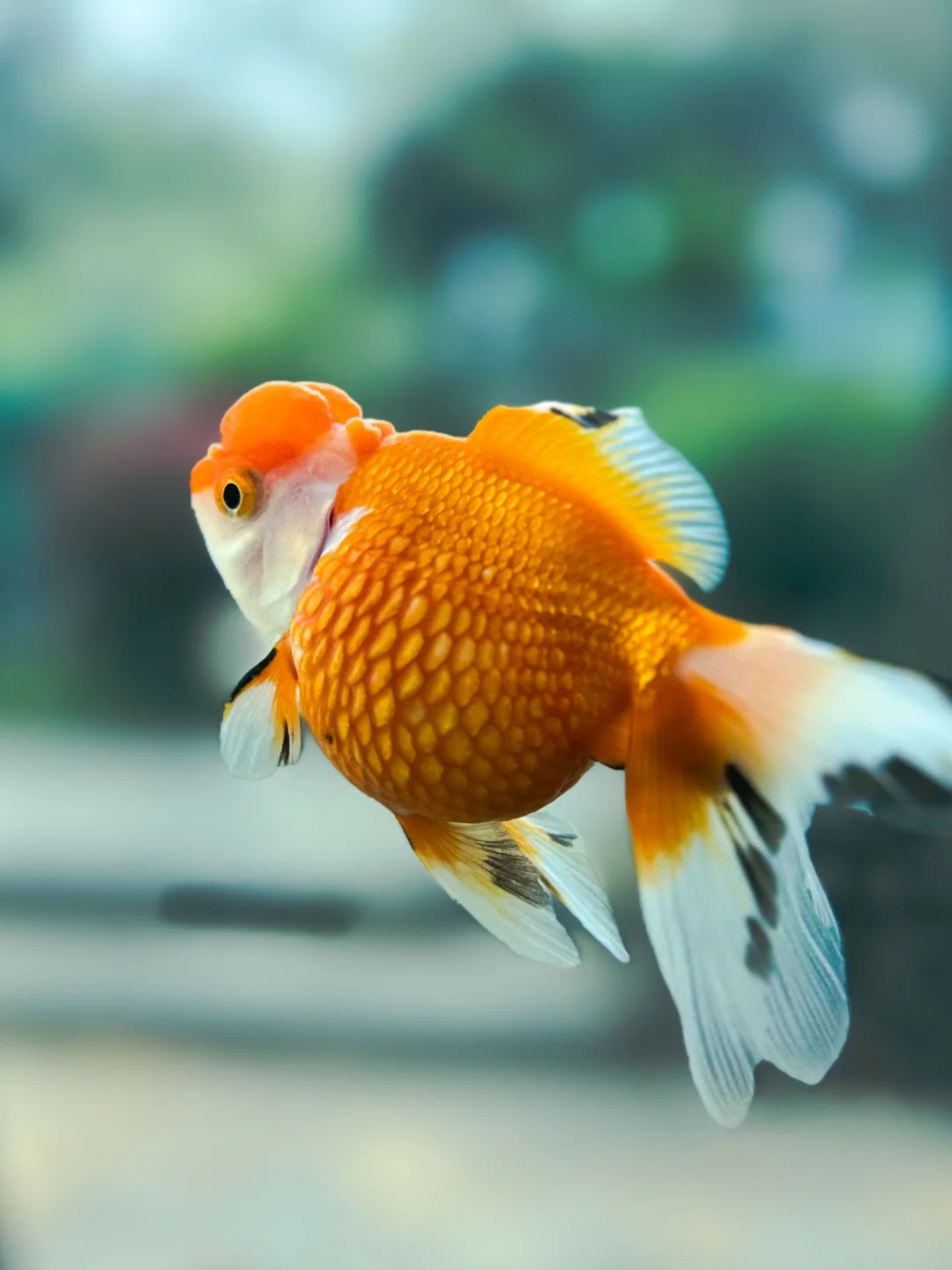 上海动物园moment