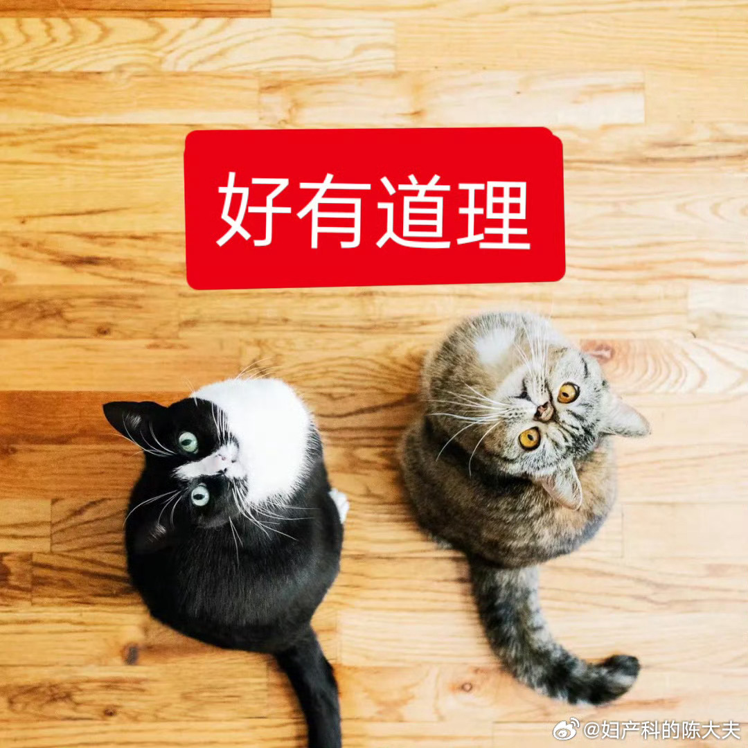 #半夜宝爸将宝妈抱摔下床泡奶#呵，这种啊，就是好脸给多了。
换我是这位宝妈，哼，想偷懒不泡奶是吧？那就都别睡了。拿菜刀先上他背上划拉两刀。你看他敢不敢报警抓你。
他若是敢报警抓你，那就美美进去牢里享福，至少羁押期间可以睡个整觉，不用起床泡奶了。而这个不肯承担育儿责任的辣鸡，则必须忍着 ​