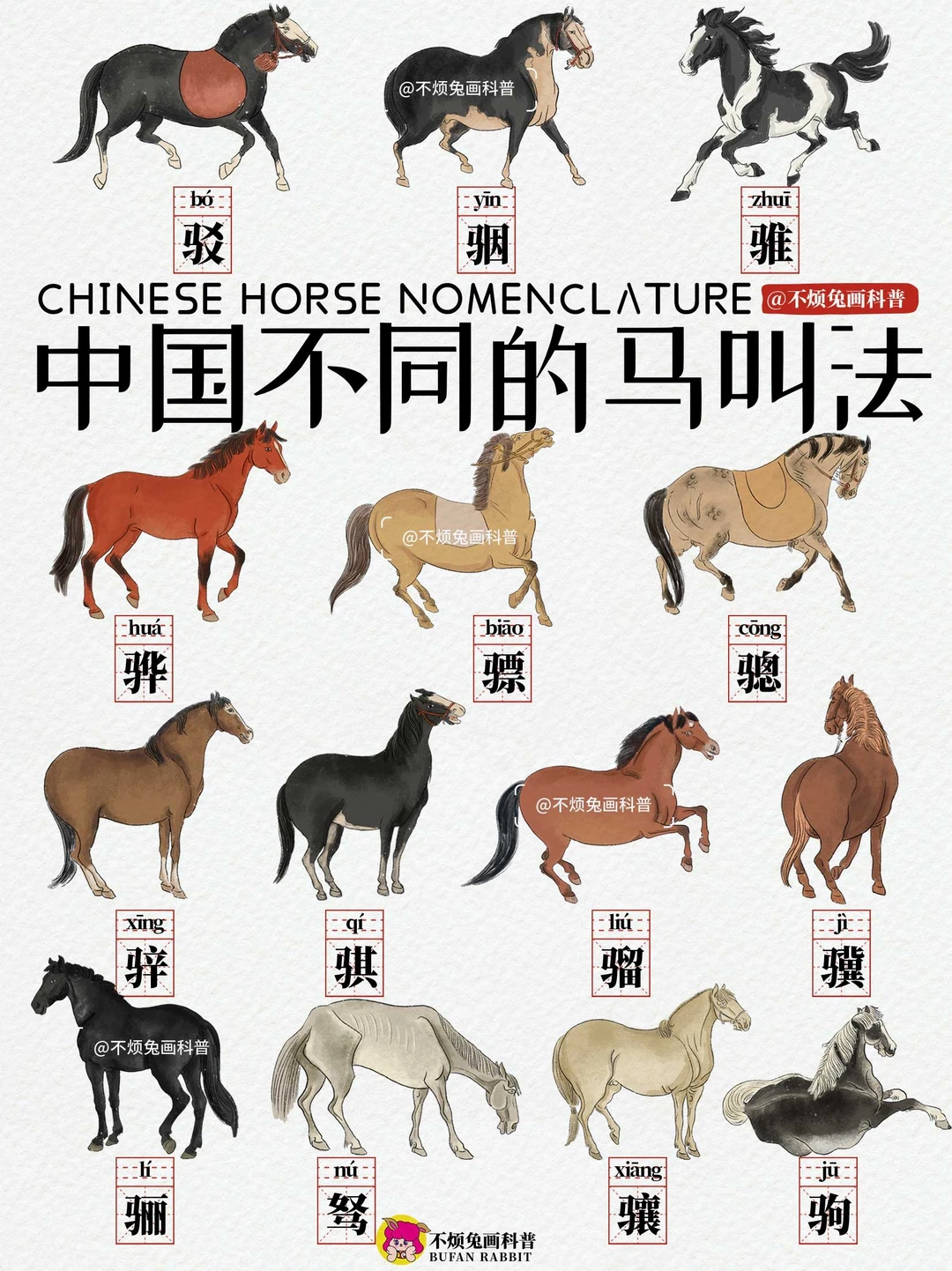 📕认识中国不同马的叫法Chinese Horses🐎