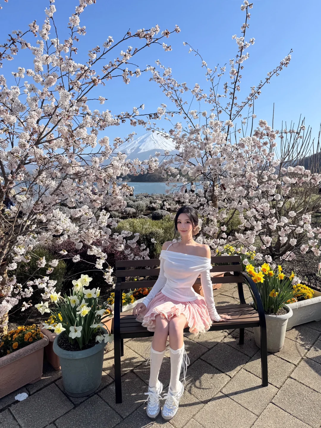 日本｜富士山樱花富豪🌸四季花海的大石公园