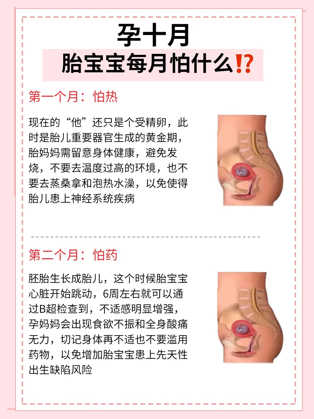 怀胎十月|准妈妈必须知道的育儿知识