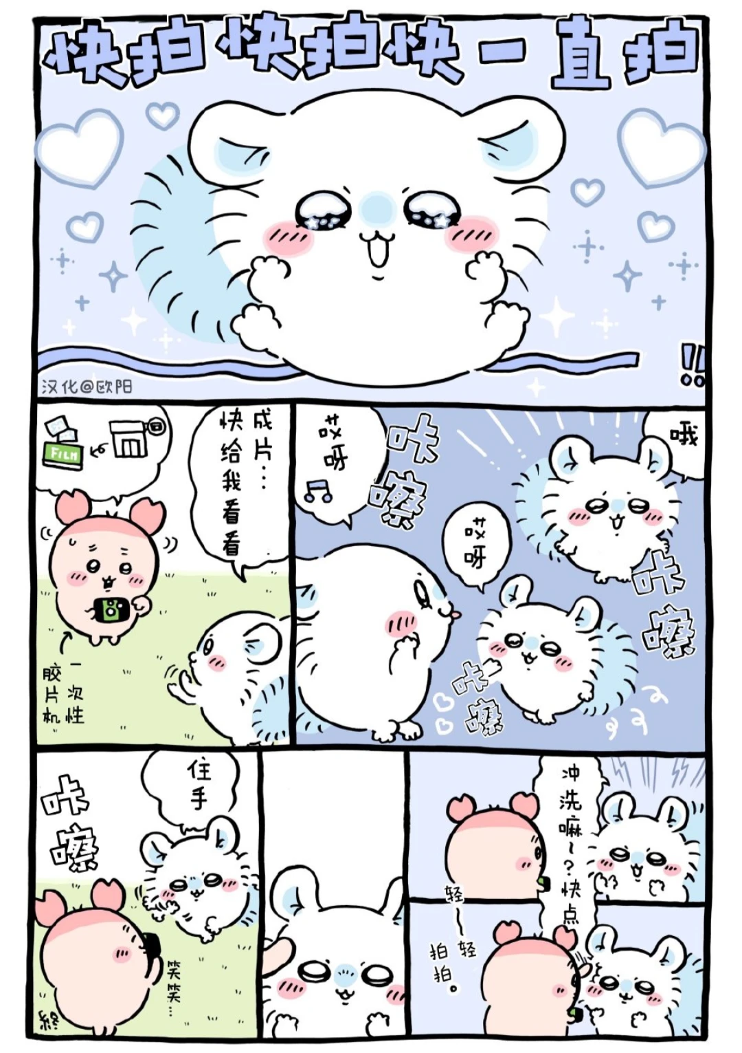 飞鼠拍照姿势大赏，特别萌的🤤