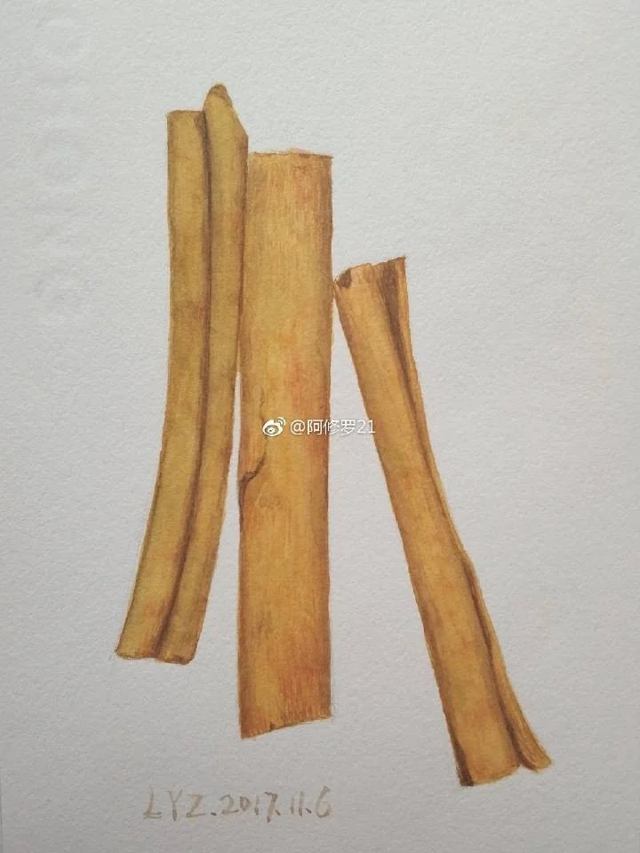 水彩肉桂/桂皮。中间步骤忘记拍。