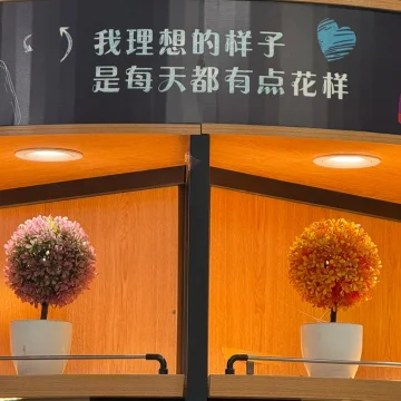 小陆旅游