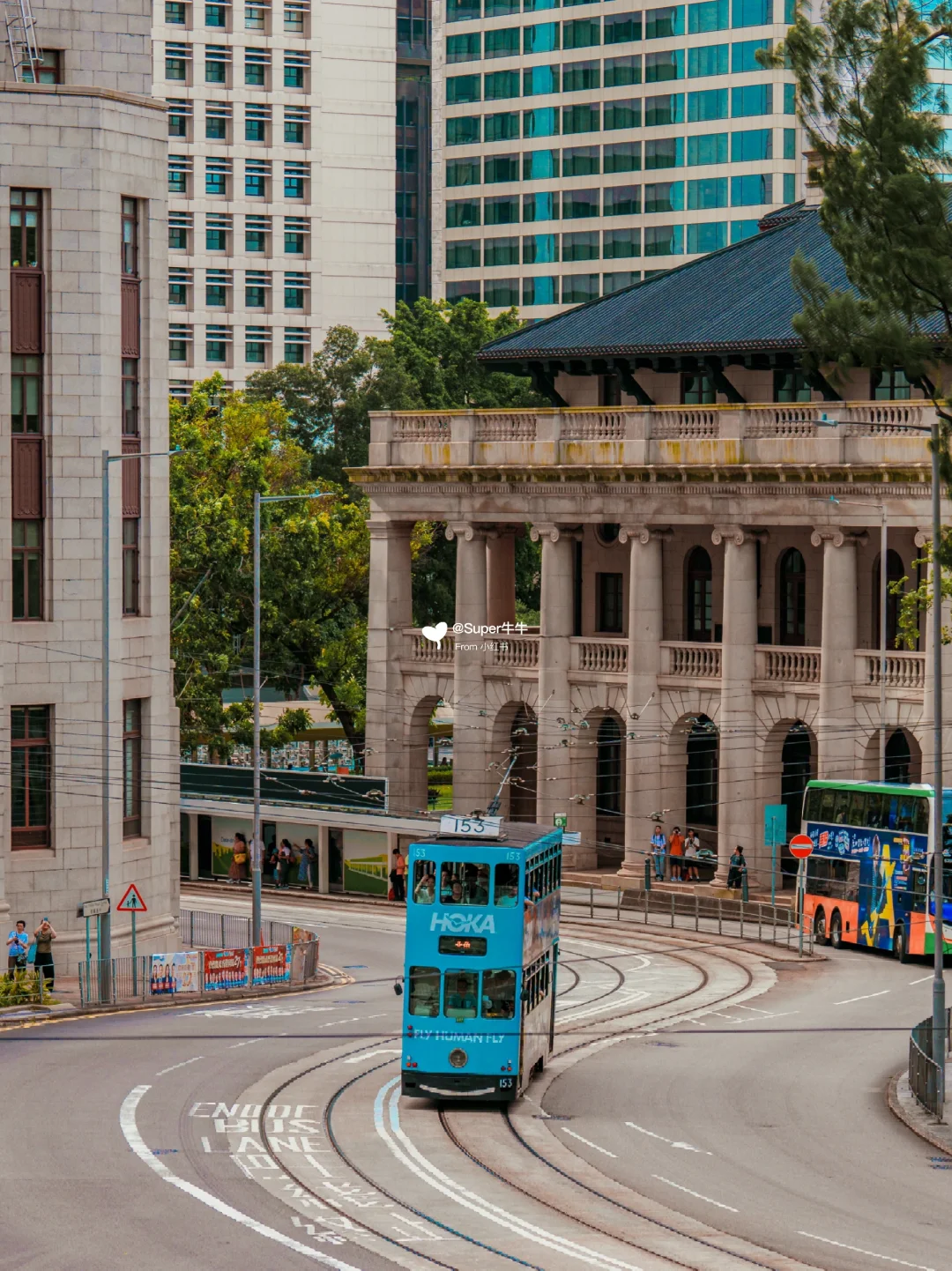 香港一日游🇭🇰Citywalk拍照机位📸附攻略