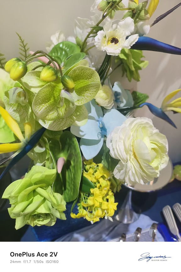 单一郁金香插花也好美呀～