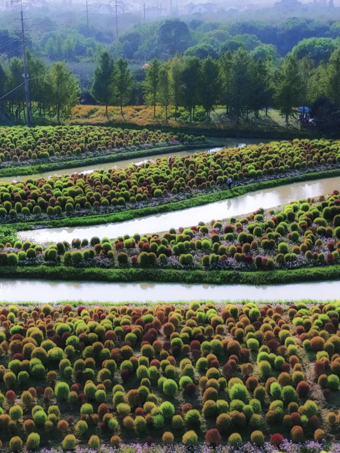 是上帝打翻了调色板，还是误入了莫奈花园