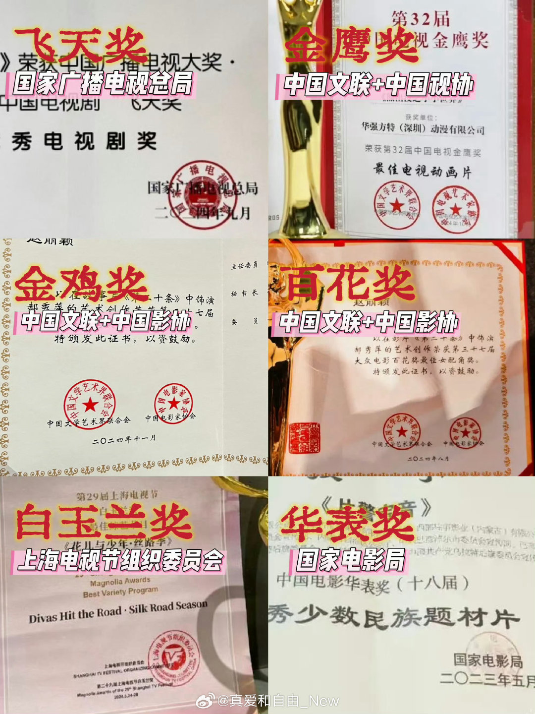 国家奖项和地方奖项再一次印证，本质就是硬蹭上去了 ​