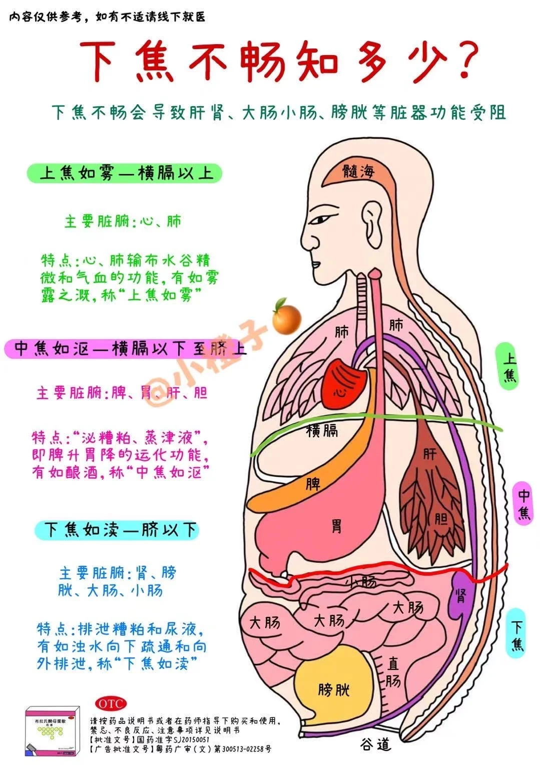 下焦不畅❓秋冬收好这份养护指南✅