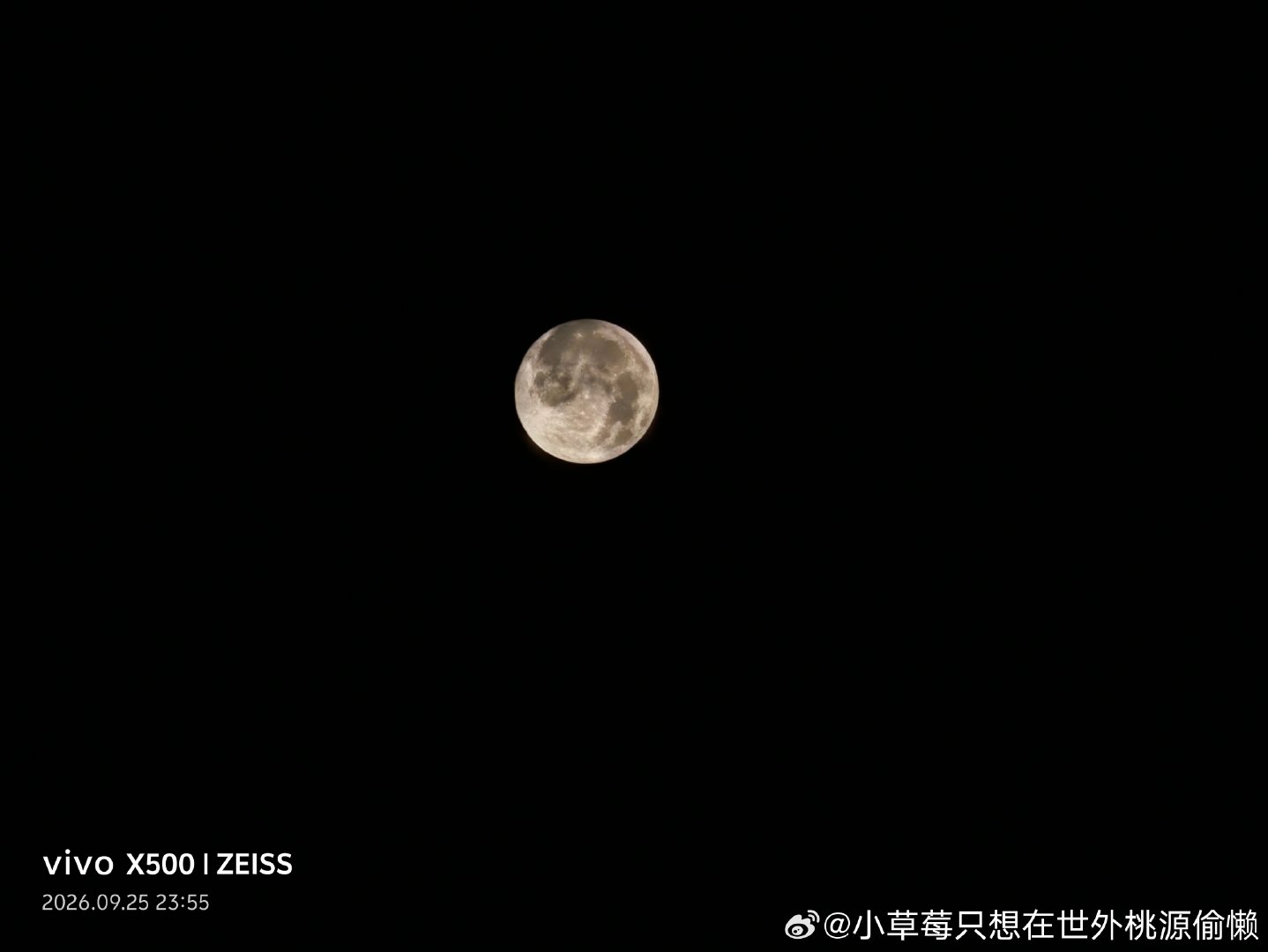 小猪走进商场准备夜宵，看到vivo店想到我之前说手机内存不够，提前为我拿下生日礼物[期待][期待][期待] ​