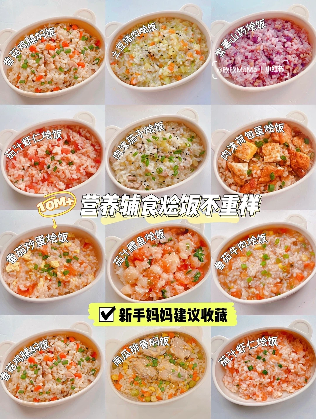 10月龄起｜12款宝宝辅食营养烩饭｜搭配一周