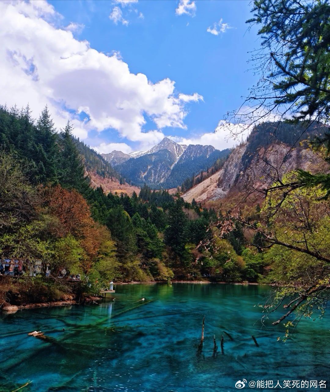 看的不仅是风景，更是千万年地质史的“现场展陈”——每片海子的蓝，每道...
