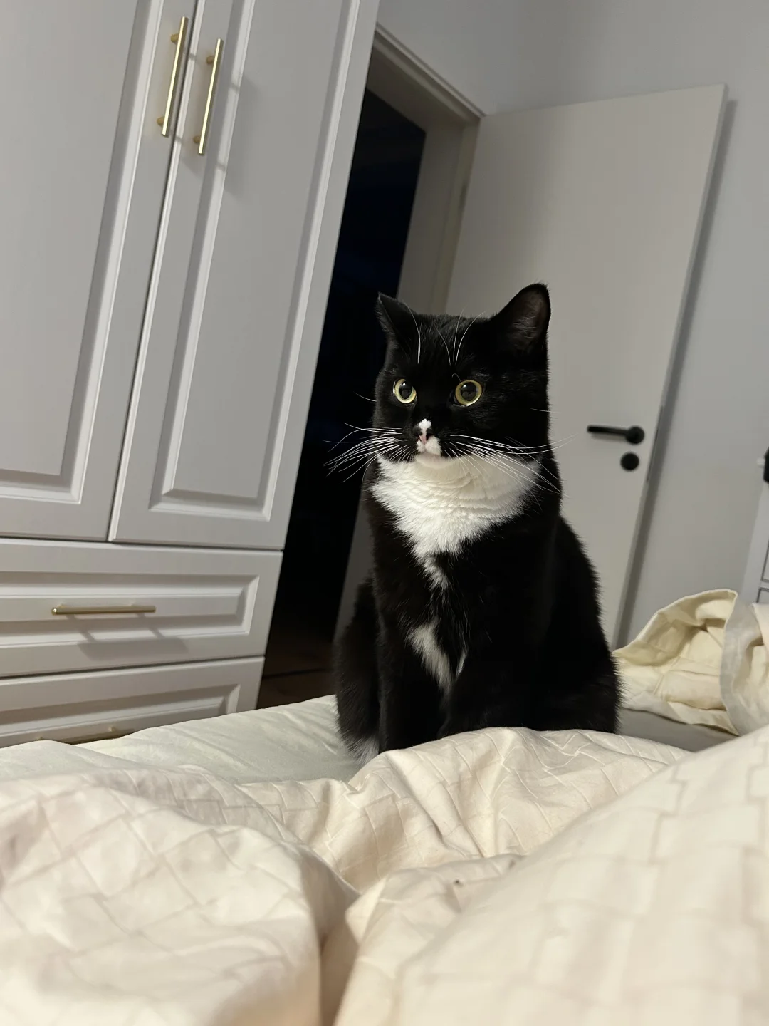 我睡了，你睡了吗？