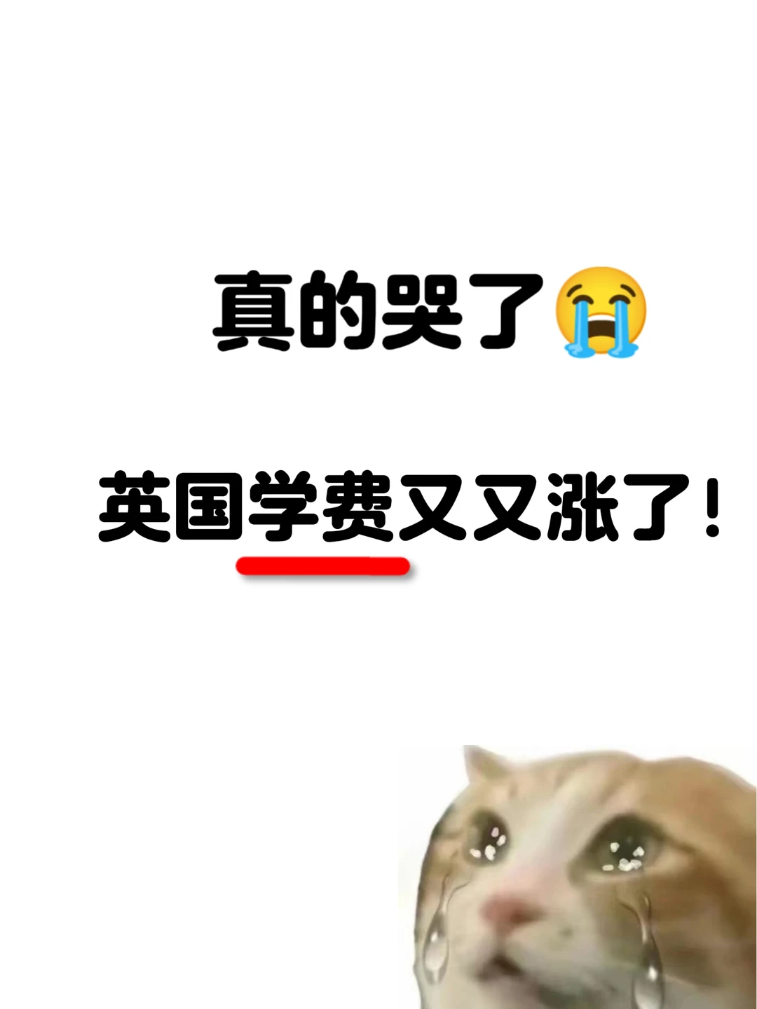 🇬🇧2026起学费要年年涨！