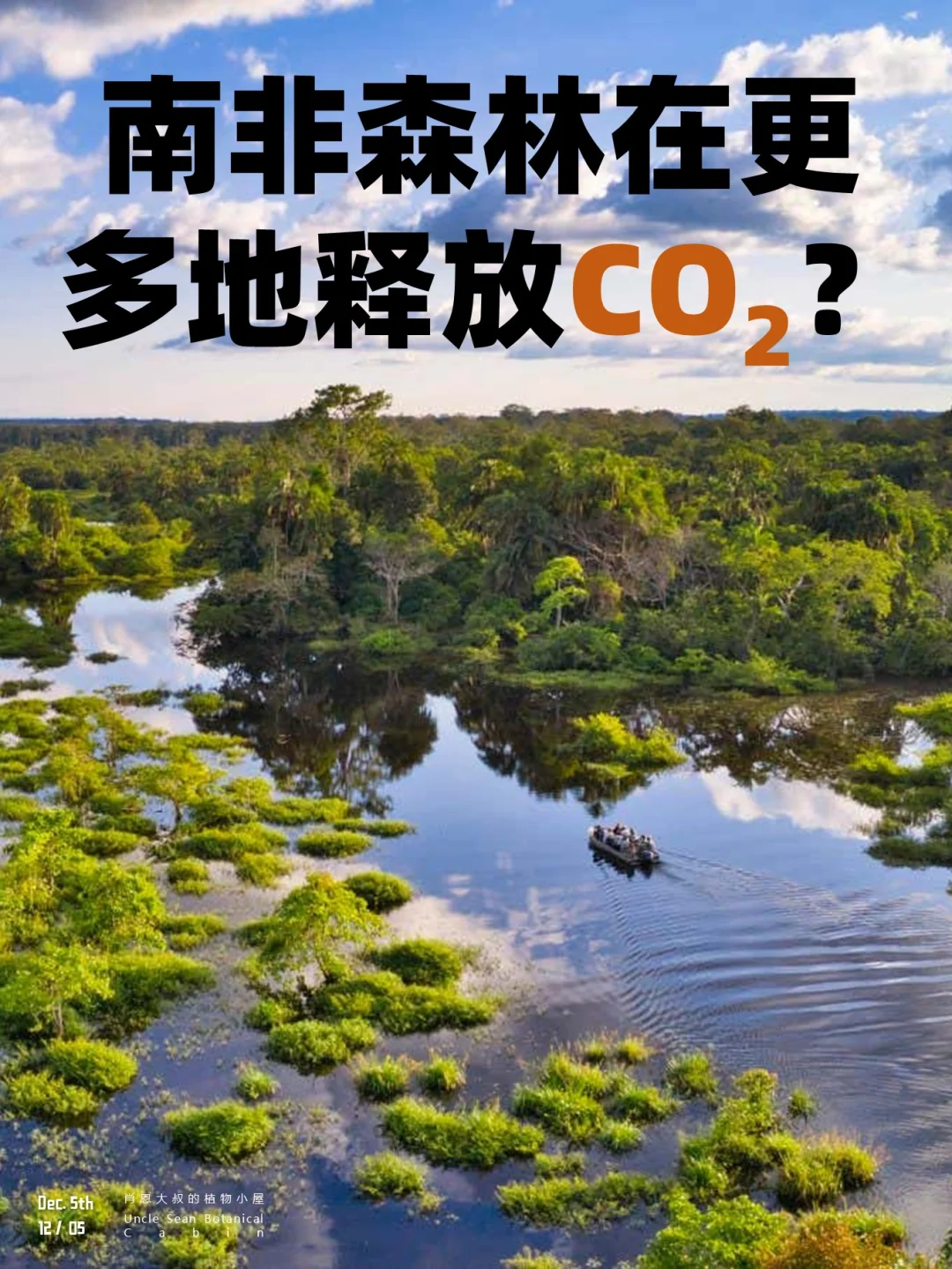 情绪比卡皮巴拉还稳定的森林，也开始崩了