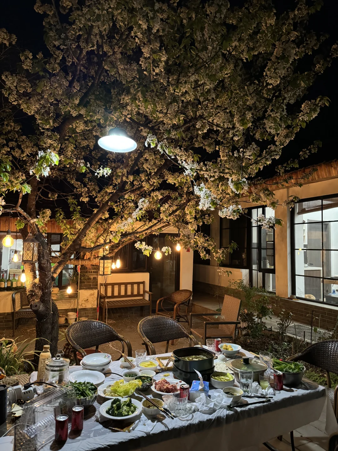 我爱北京小院生活！度过了完整的春夏秋冬