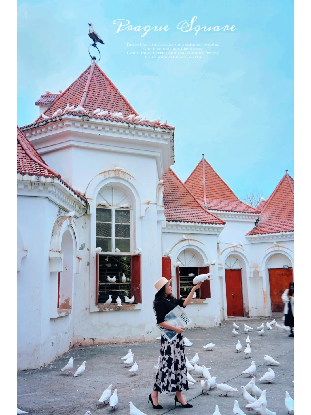 闯入布拉格广场喂鸽子｜这里是乐山市中心