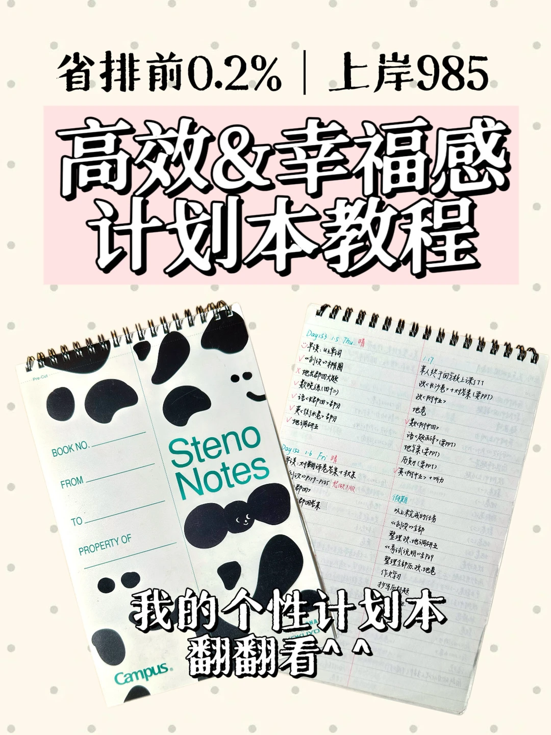 上岸985｜如何通过计划本提升效率&幸福感📓