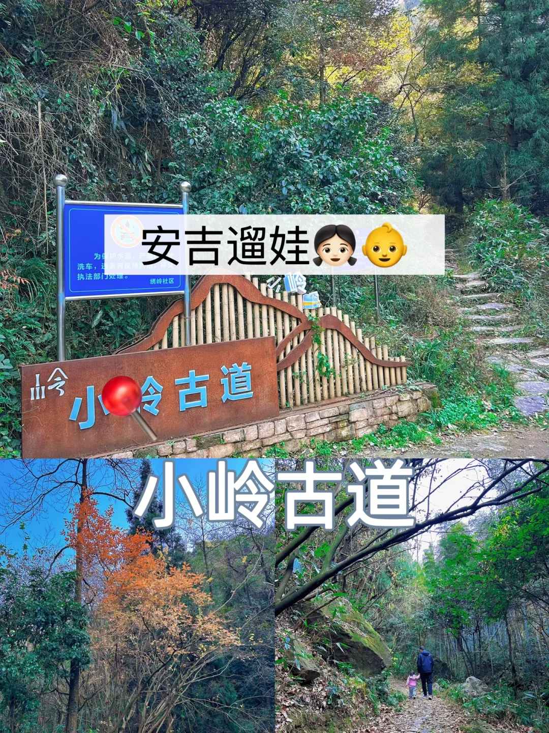 安吉遛娃2️⃣|带3岁的娃，可以走的安吉古道