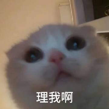 大家有没有什么人猫互动的神经病表情包或梗图<span class="u...