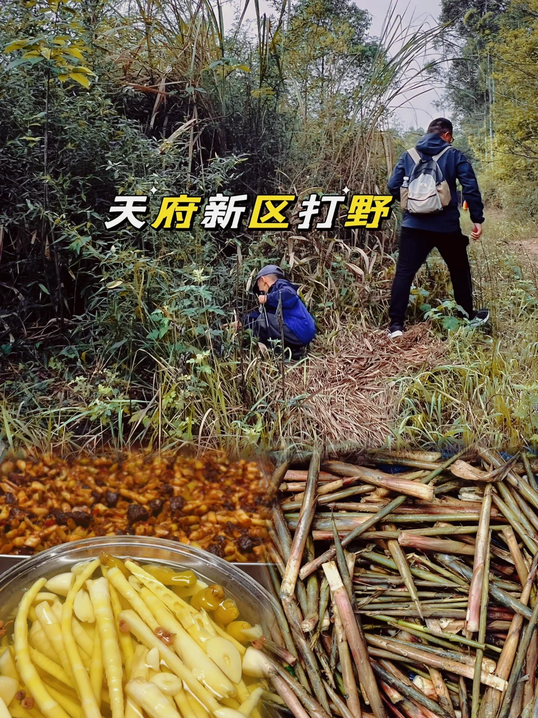 天府新区打野成功‼️第一次剥笋剥到怀疑人生