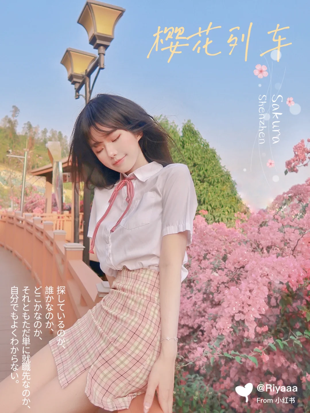 深圳｜踏上日剧里的樱花列车追赶春天的尾巴