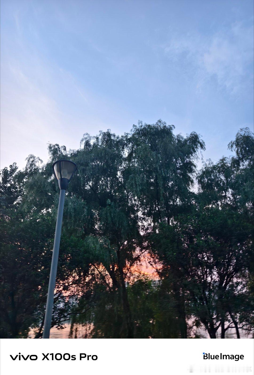 #vivo[超话]# 傍晚去小区花园，看到小朋友在追蝴蝶，蝴蝶停在绿叶上，他蹑手蹑脚地走过去，结果蝴蝶飞走了，他气得跺脚。 ​