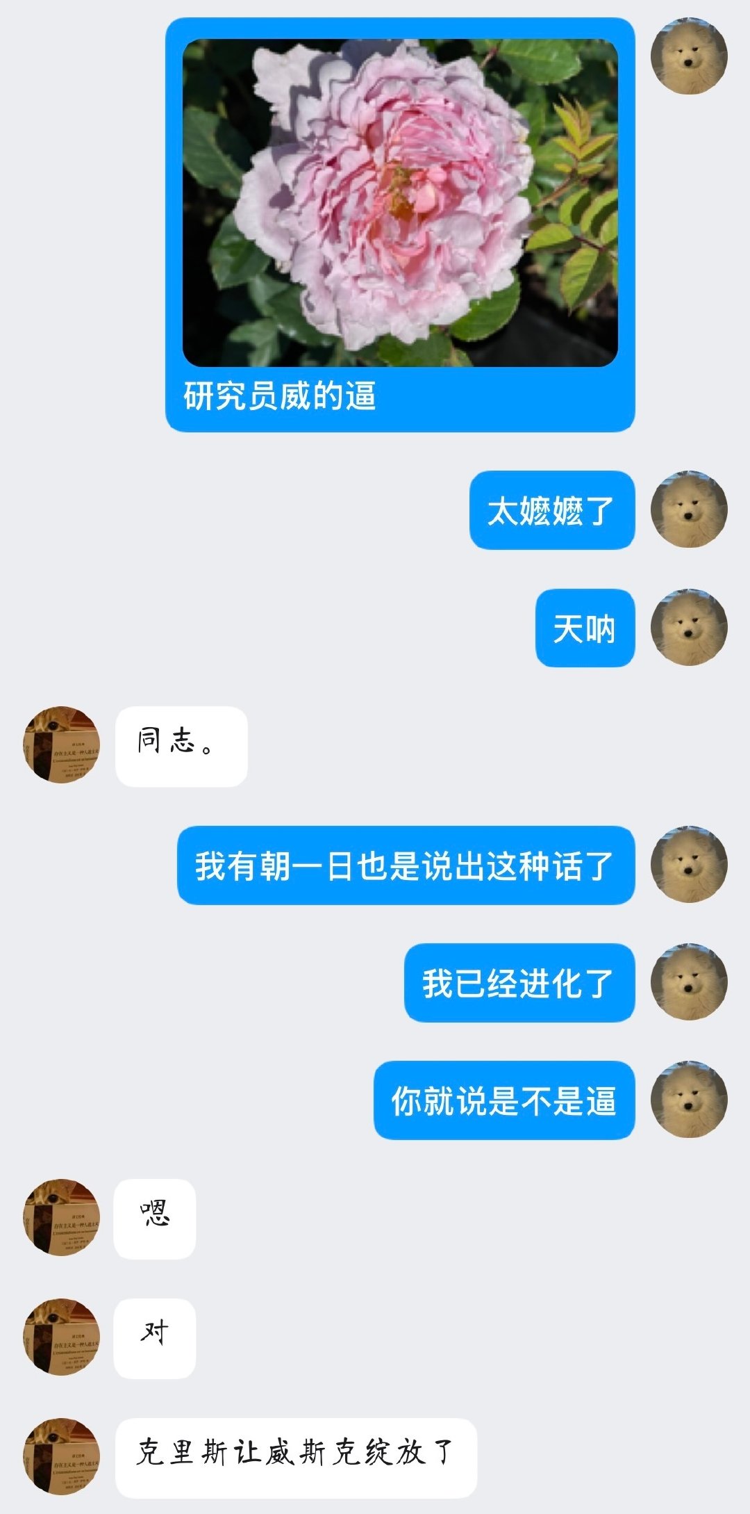 语言系统和联想能力都来到了另一个层面 ​