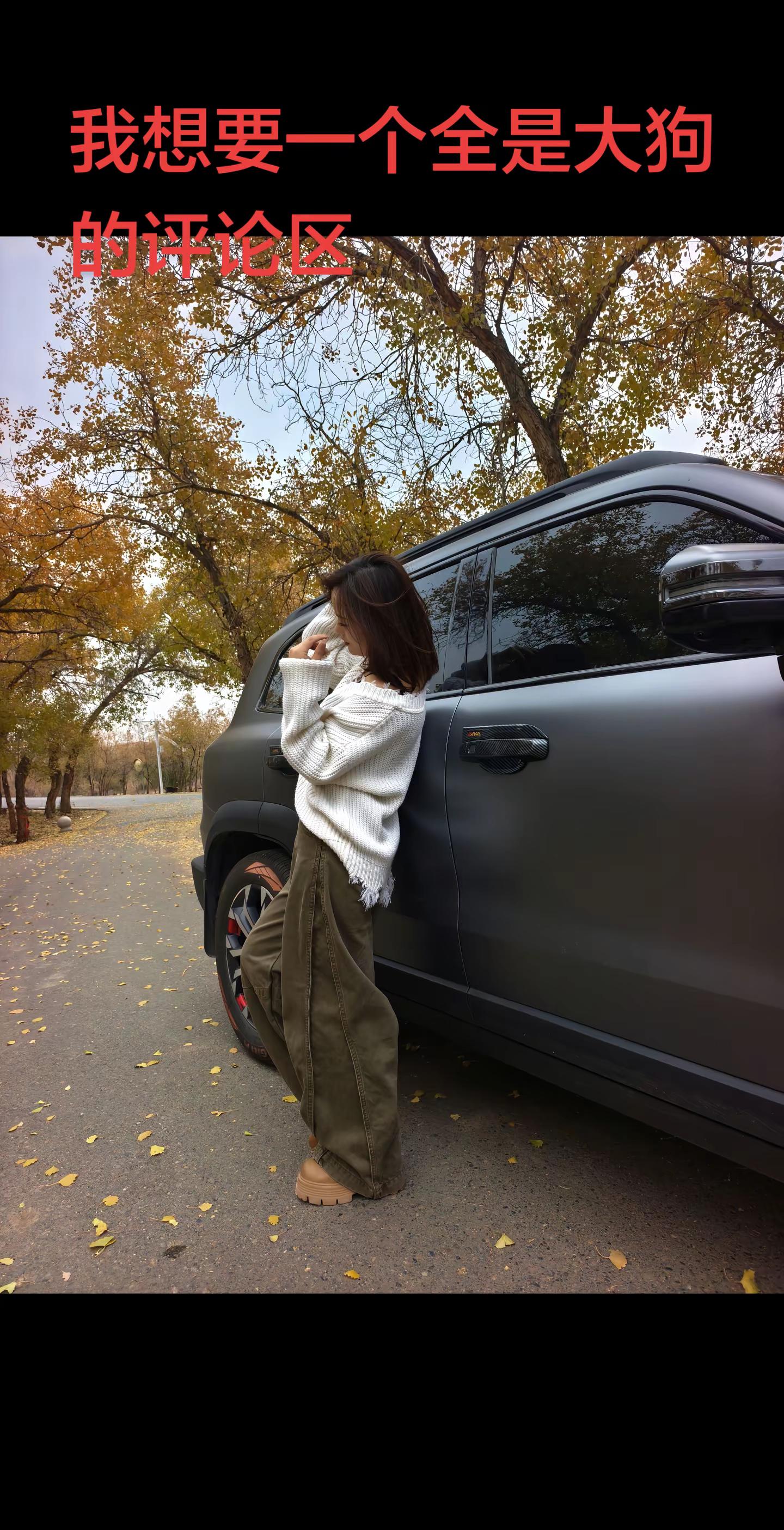呼叫全网哈弗车主