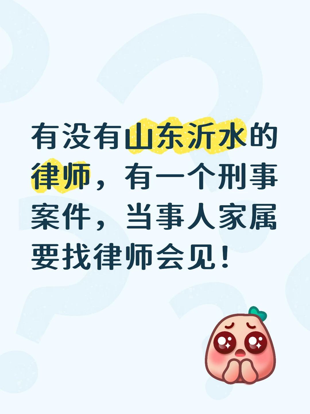 找山东沂水律师会见