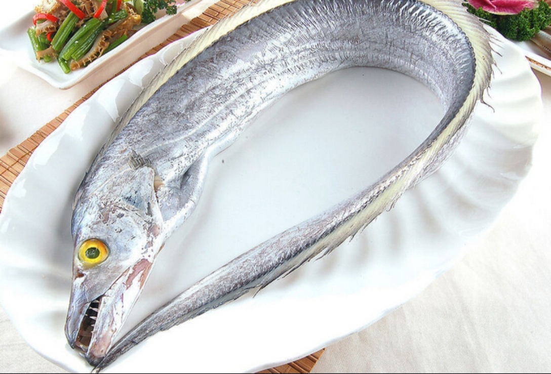 人在公交车上被鱼咬的概率不是0！南京666路带鱼伤人事件始末  202...