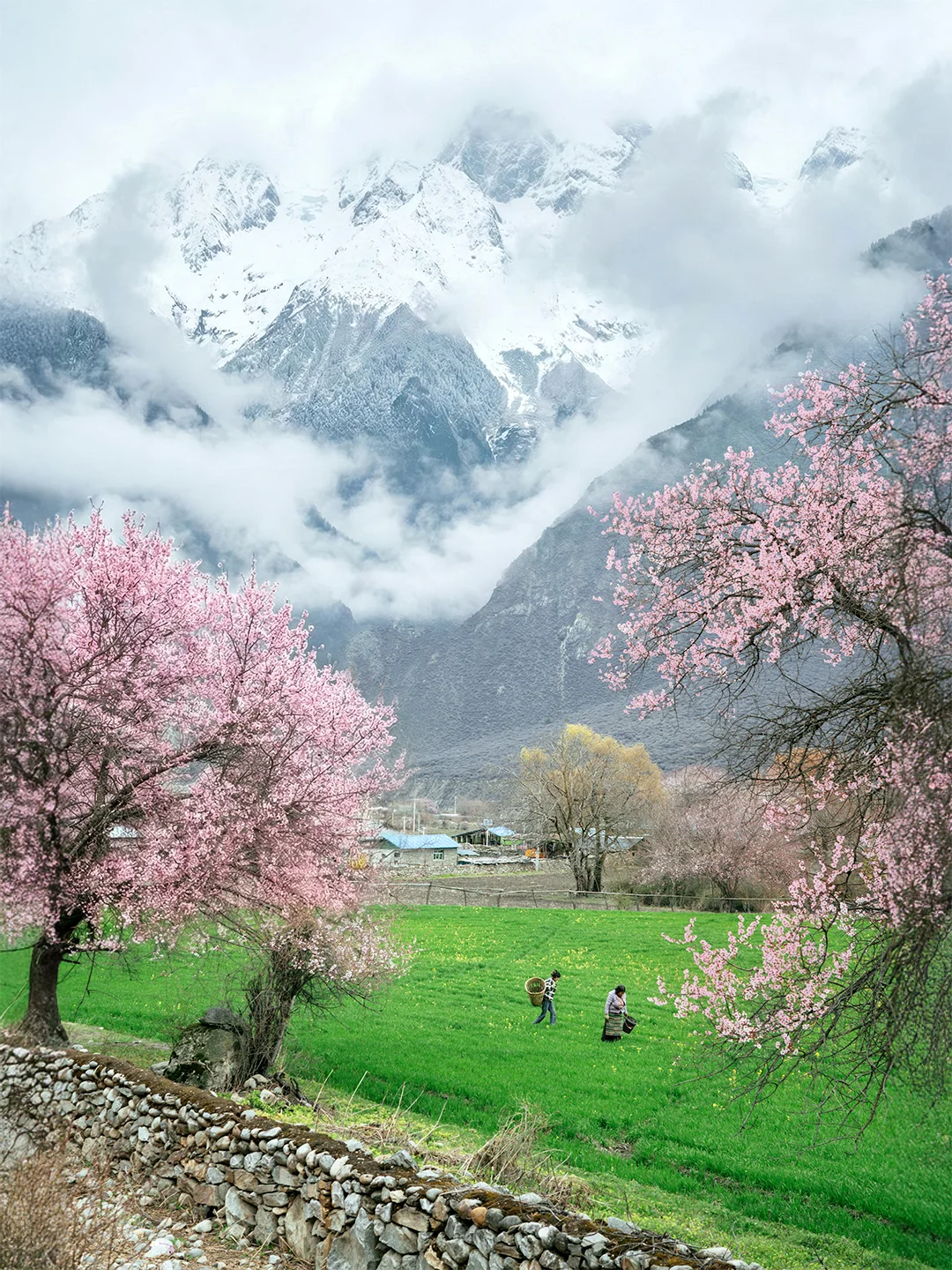 这就是陶渊明笔下的世外桃源吧，就在眼前！