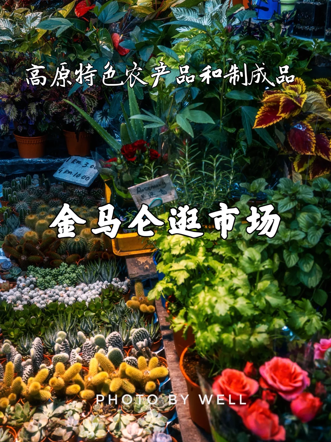 金马仑逛市场——高原特色农产品和制成品