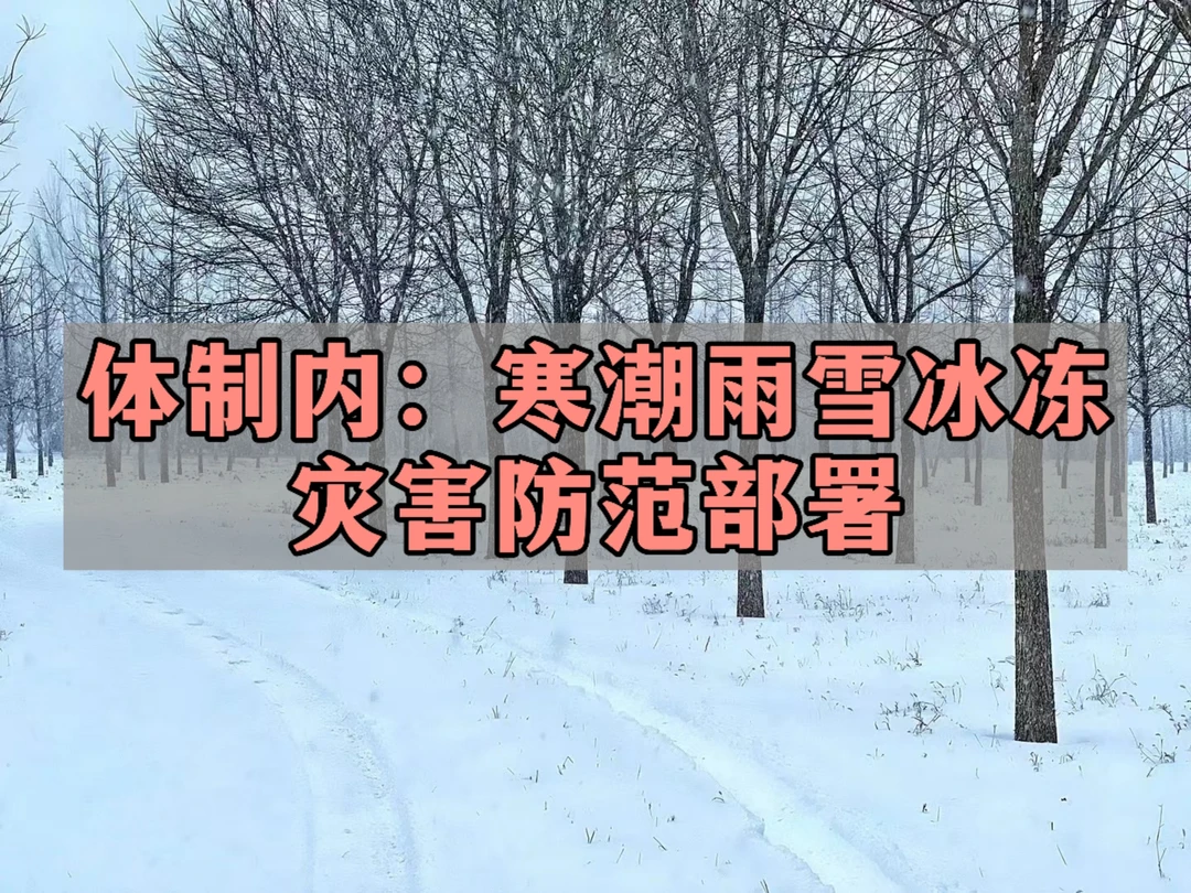 体制内：寒潮雨雪冰冻灾害防范工作部署