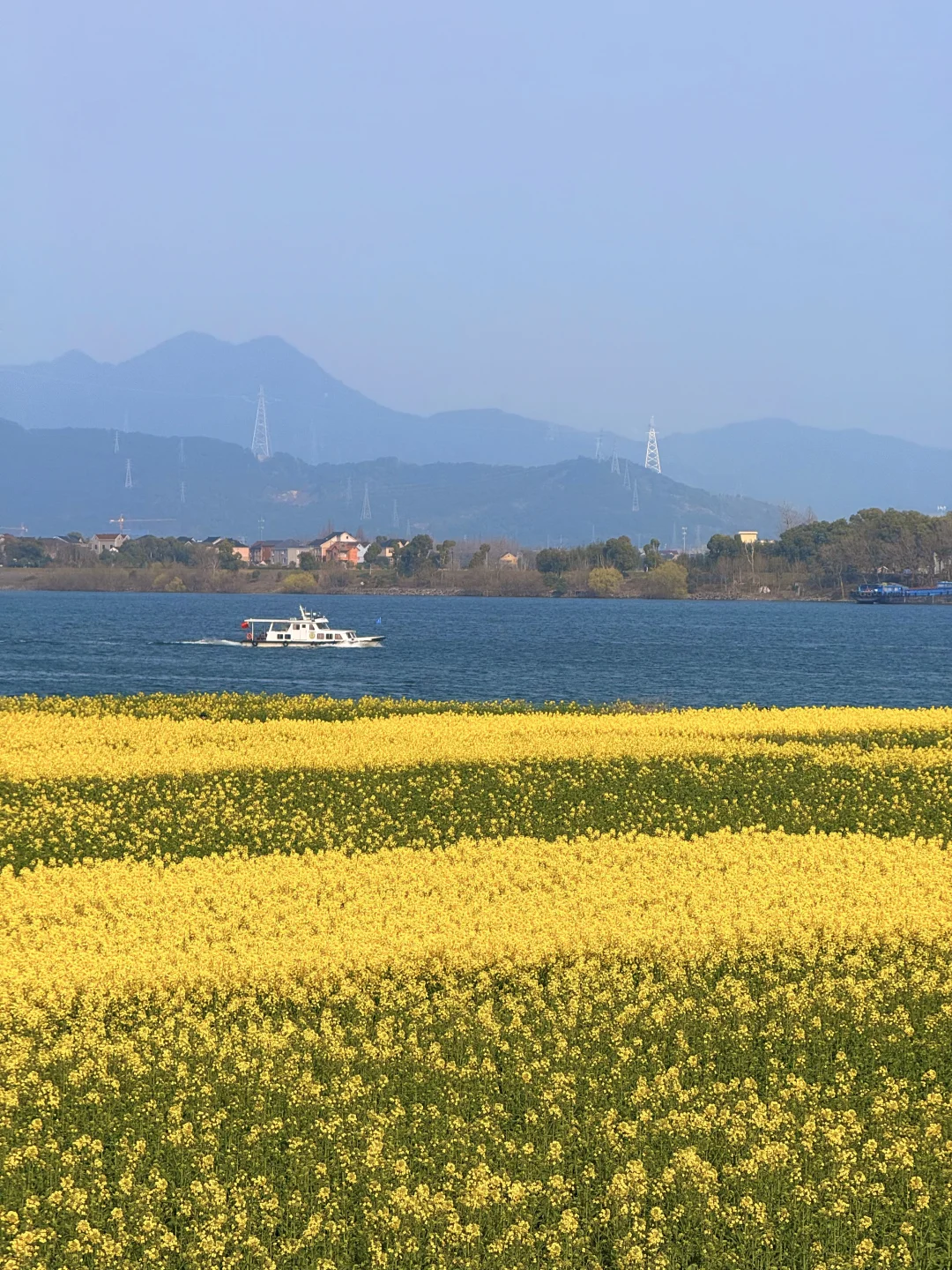 杭州 live实况！富春江边的“大理喜洲”！