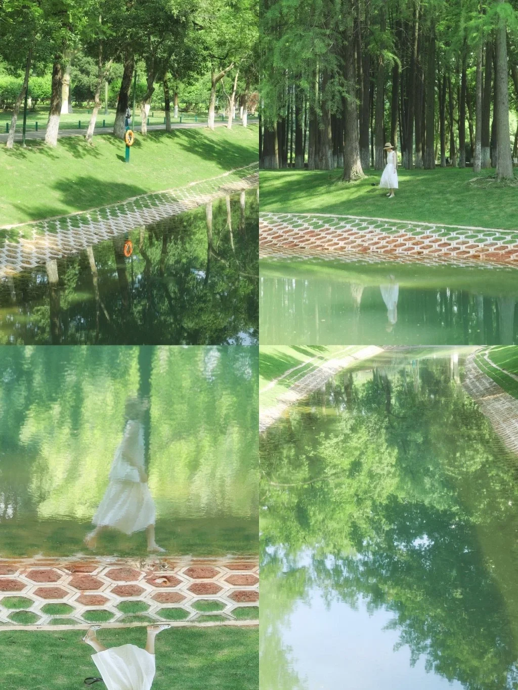 武汉逛不腻的宝藏公园❗️绿色秘境太浪漫