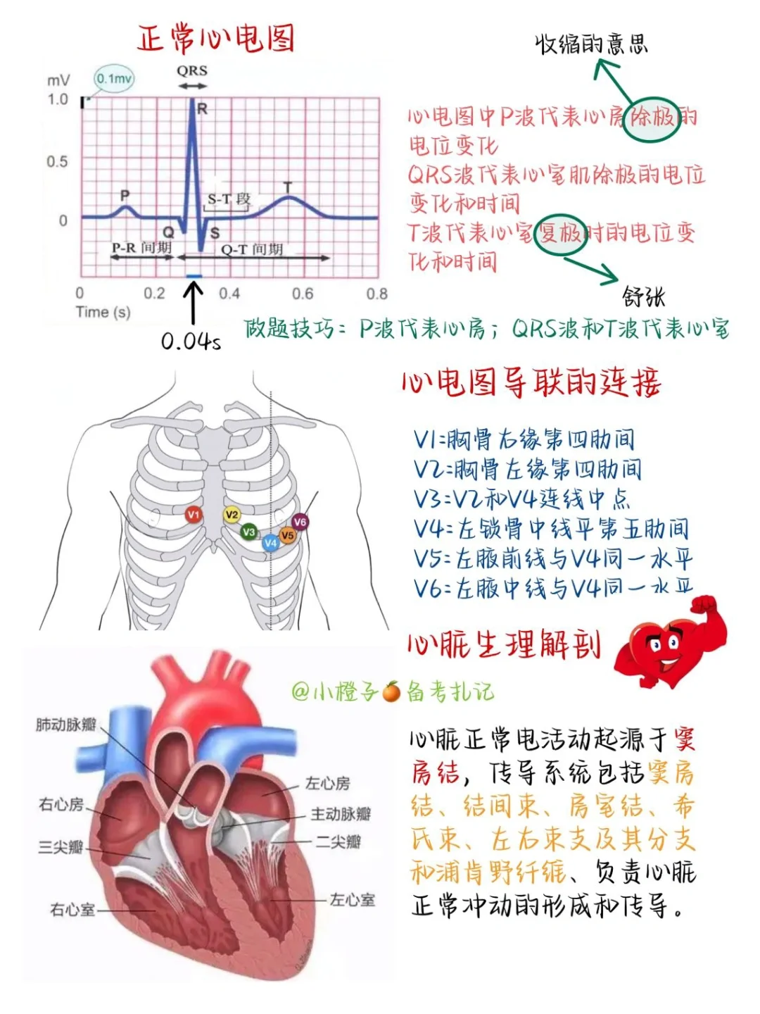 📖护师笔记｜内科护理学｜心律失常1⃣️