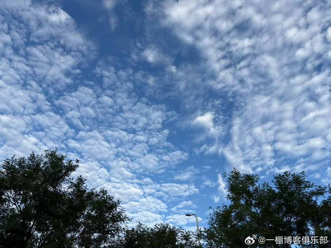 反弹背后的催化因素!

周四，A股震荡上行，三大指数涨超1%，科创50涨超3%。
今天市场延续反弹态势，三大指数集体收涨，上证指数盘中重回3950点上方，科创50指数表现尤为突出。盘面核心重回科技成长赛道，CPO、PCB、光纤等算力硬件细分方向领涨两市，半导体板块同步震荡抬升。农业板块亦维持强势，市场 ​