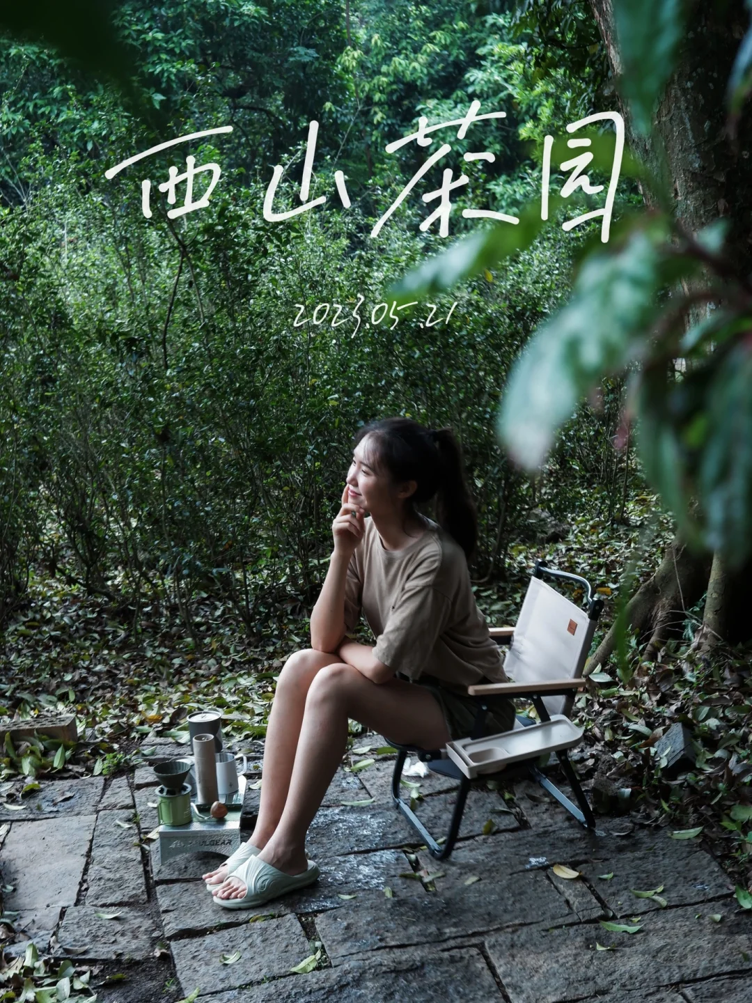 西山茶园小记
