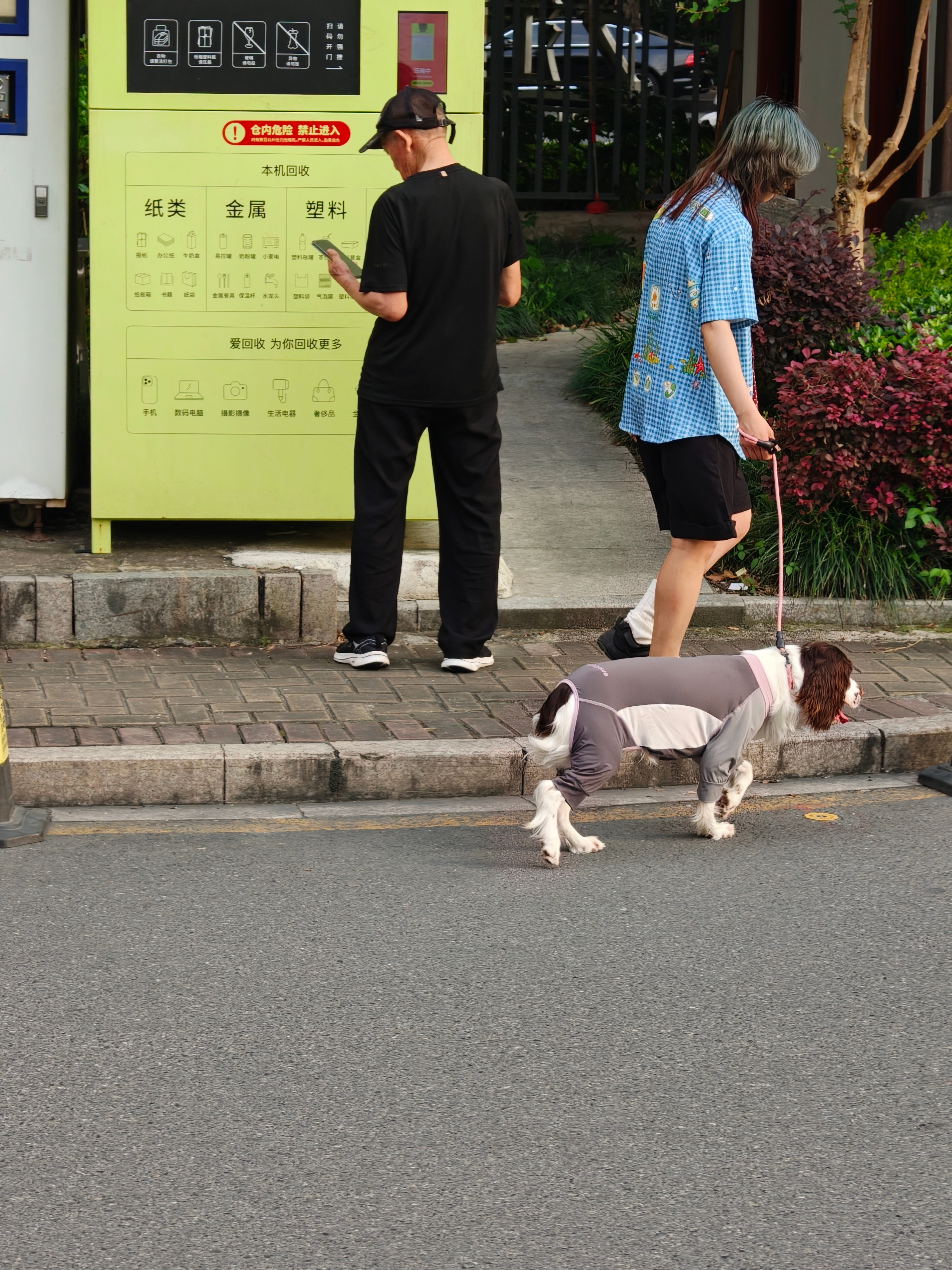 心疼这狗子 夏天这么热还要穿长袖... ​​​