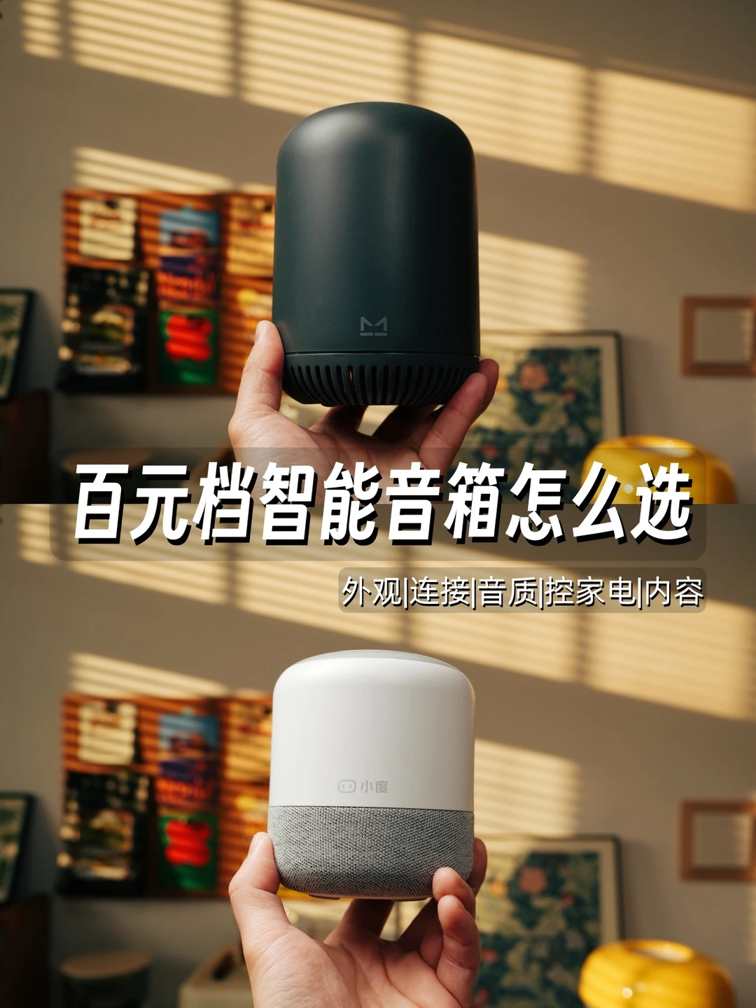 两款大热百元音箱真实对比，懒人更爱哪款