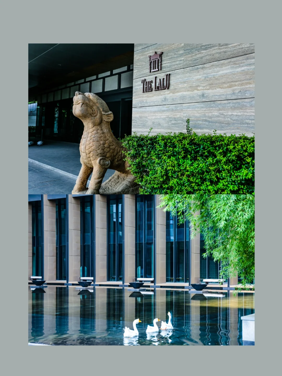 318囤旅游不踩雷|南京春季口碑之旅