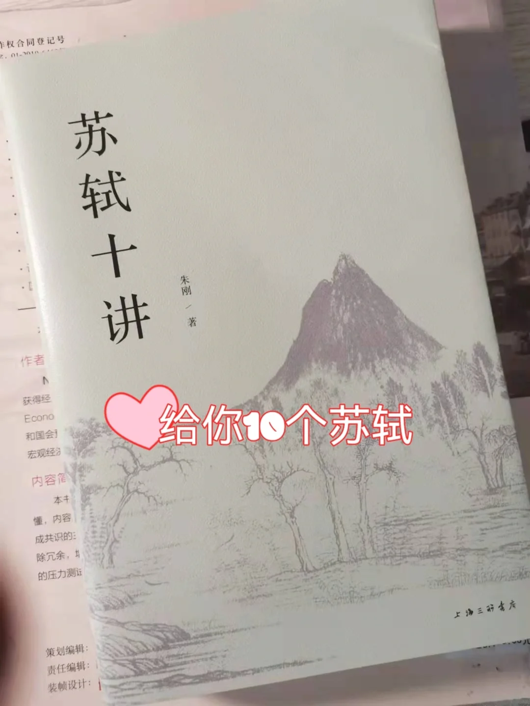 给你10个苏轼，读出不一样的文化